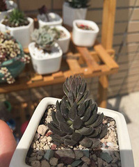 ���ҿ��� ������ô��