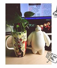 ��ɹ�칫����ֲ�����ܻ��ۣ����ů��