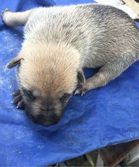 ��Ȯ��������Ȯ