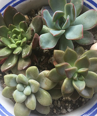 ������ӻ⡣