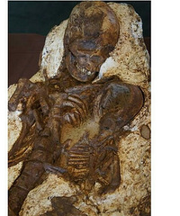 "这对4800年前的人类化石 母抱婴儿深情凝视千年"