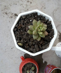 �����ҵĶ���