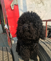 ����  ����  ���ֽ�����    �������Ĳ�������