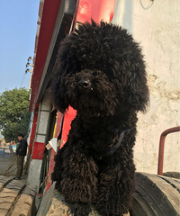 ����  ����  ���ֽ�����    �������Ĳ�������