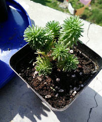 55555������