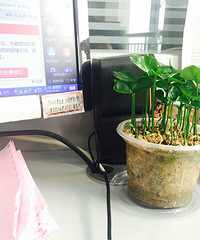 �칫���Լ��ֵ�