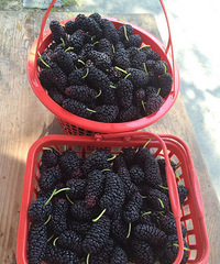 ���£�һ��ȥժɣ�ذɡ�