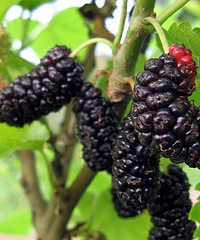 ���£�һ��ȥժɣ�ذɡ�