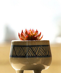 �������ã�����������