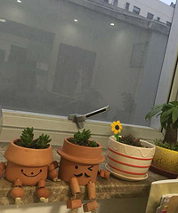 �칫�ҵ�һ���̣�һ�������