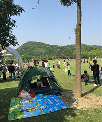 ���ǻ����ĺ�����