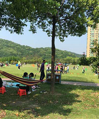 ���ǻ����ĺ�����