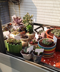 ɹɹ�ҵ�����