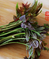 "鲜花菜—— 【祺宝家厨】香椿炒蛋(每年必吃,蛔虫治愈系)"