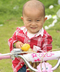 ��С���ǹ������տ�����ȷ�򿪷�ʽ