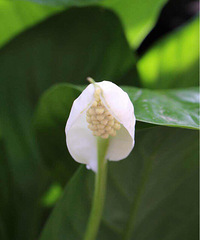 ������ʱ