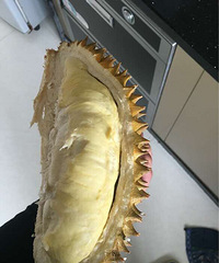 ����һ������......