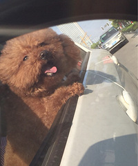 ǰ�������ˡ���