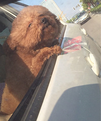 ǰ�������ˡ���