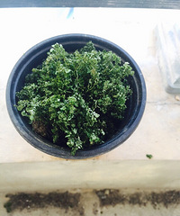 �����ˣ���ô�찡