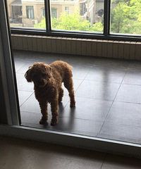 �����������ô�������ȥ���