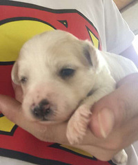 �տ��۵ı��ܱ���