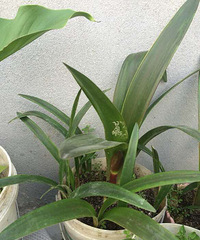 ϱ�����ڰ�������