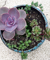 ��С��������⣬��������С��