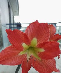 �����͵ģ�����������ڿ�����