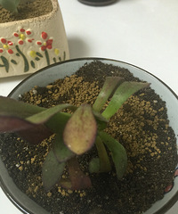 �����������㡣��֪���ܲ������