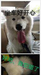 �������㡿����LUCKY,����һ��