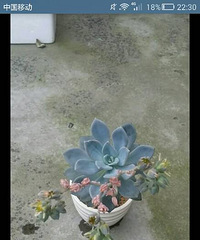 �д���֪�����ʲô����ҲҪ��