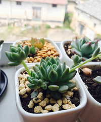 �����Ŀ���.�Ҵܵ��Ҵܣ�����������