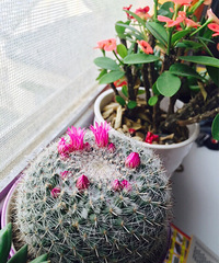 �����Ŀ���.�Ҵܵ��Ҵܣ�����������