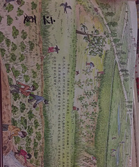 ���»汾�¡�����Ƕ�ʮ�Ľ�����