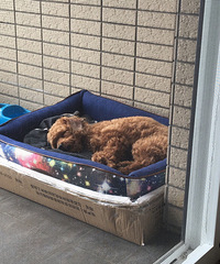 ��˯��Ҳû˭�ˣ�̫�������С���ӹ���