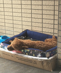 ��˯��Ҳû˭�ˣ�̫�������С���ӹ���