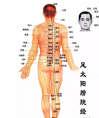 "女性最大的排毒通道—膀胱经 "