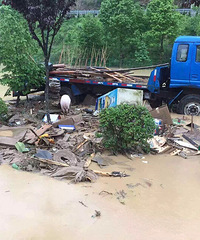 ��ͻ�����ٰ���������ֲ�����������������ɽ����ʯ��