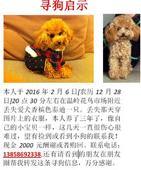 С�������������뻨���г���ʧ�������ڼ�