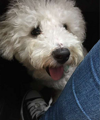 ����ʲô�������