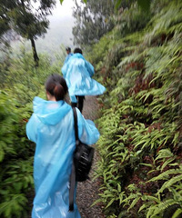 �������ˣ�����ȥ��������