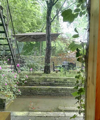 �����﷢��.�������Ǹ���ô