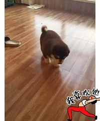 �������㡿�����ڣ���������