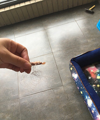 �����Ȼ������