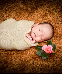 ����������������