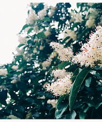 ������Խ��Խ������