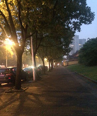 ���϶�������Music,���������ɡ�