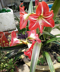 �����ˣ�