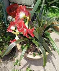 �����ˣ�